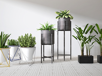 Modern potted plant combination 3d model