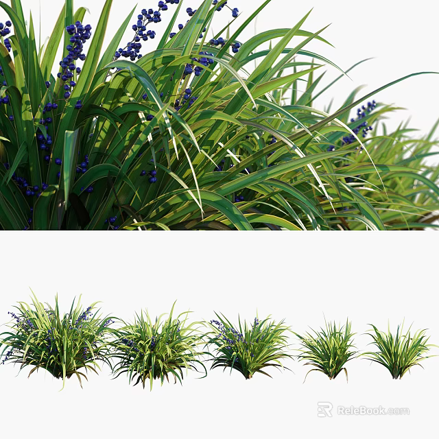 Lush Green Grass With Purple Small Flowers And Various Herbaceous Plants 3d model 