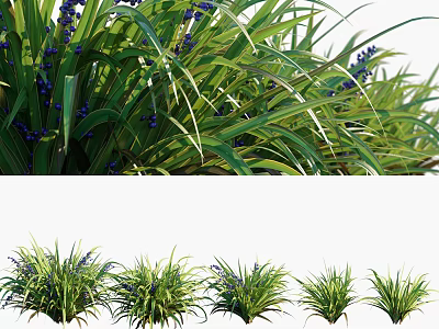 Lush Green Grass With Purple Small Flowers And Various Herbaceous Plants 3d model
