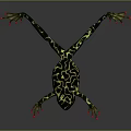 Frog Poison Frog Game Frog Reptile Cold Blooded Animal Reptile 3d model