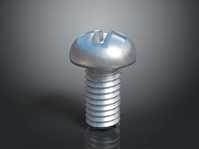 Stainless Steel Cross Head Metal Screw with Threaded Shank and Reflective Surface 3d model