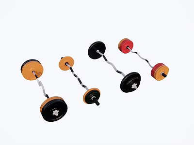 Modern Fitness Equipment Fitness Equipment Portfolio 3d model