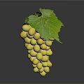 Fresh Yellow Grapes With Plump Shiny Berries And Green Leaf On Dark Background