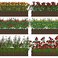 Shrubs with red yellow and white flowers in wooden planters for garden decoration
