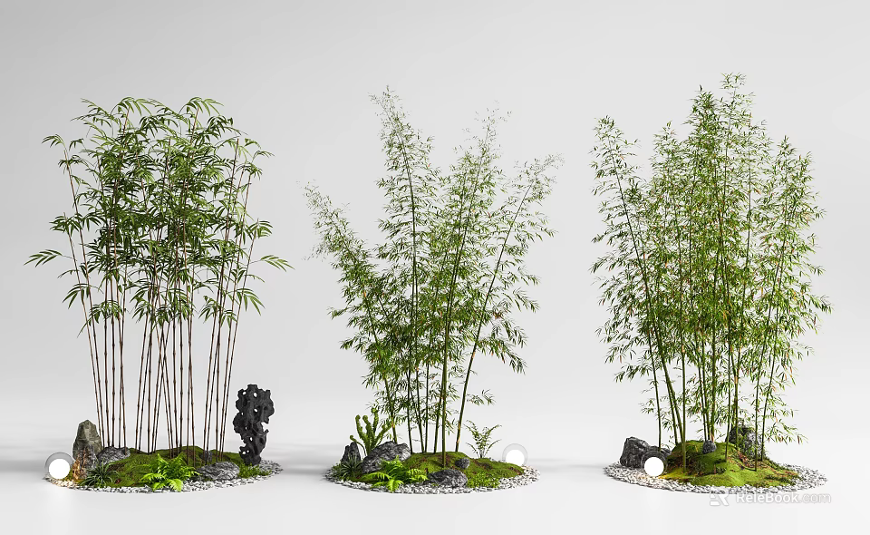 Bamboo Landscape Design With Three Clusters Stones Moss And Decorative Elements 3d model