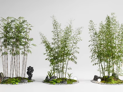 Bamboo Landscape Design With Three Clusters Stones Moss And Decorative Elements 3d model