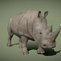 Lifelike Reptile 3D Model Displayed On Gray Background With Detailed Skin Features