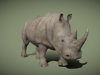 Rhinoceros Reptiles Tropical Animals 3d model