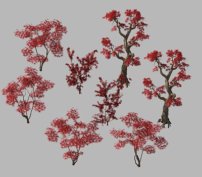 Multiple Red Leaved Trees With Various Trunk Shapes And Leafy Branches 3d model