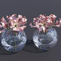 Transparent Glass Round Vases With Fresh Pink Flowers For Home Decor
