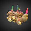Colorful Ginger Vegetable With Green Red Pink Stems And Rhizome Parts