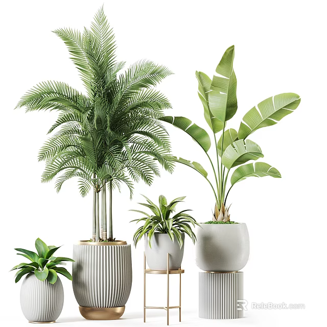Tropical Indoor Potted Plants With Green Foliage And Stylish Decorative Pots 3d model 
