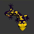 Lizard Anime Lizard Chameleon Cartoon Lizard Reptile Cold Blooded Animal Reptile Class 3d model