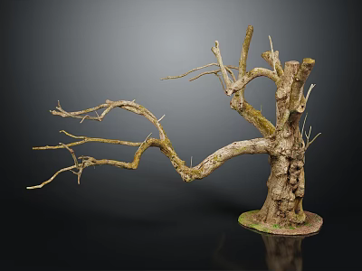 Natural Wooden Dry Tree Trunk Featuring Branched Twigs On Stone Base Black Background 3d model