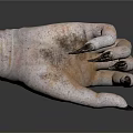 Close Up View Of Animal Paw Organ With Sharp Black Claws And Rough Skin Texture