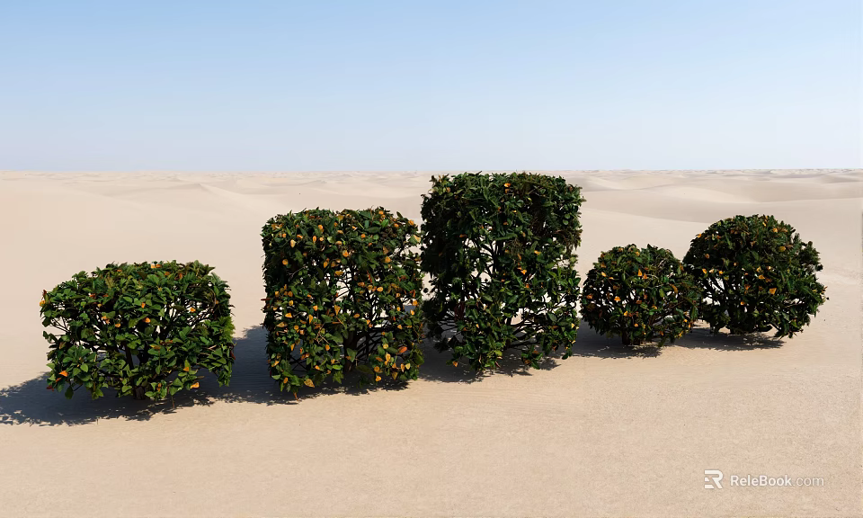 Green Leafy Shrubs Arranged On Sandy Desert Ground Under Blue Sky 3d model