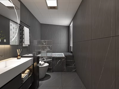 Modern Dark Tone Bathroom Interior With Built In Bathtub And Complete Functional Wash Fixtures 3d model
