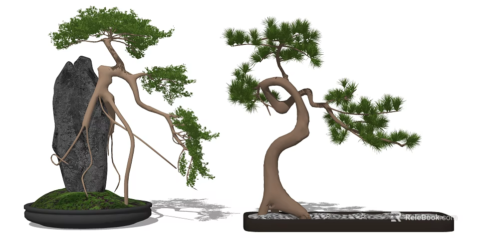 Decorative Pine Bonsai Tree with Curved Trunk Exposed Roots and Pebble Rock Base 3d model