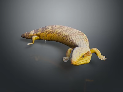 Realistic Yellow and Brown Patterned Lizard with Curved Body and Smooth Skin 3d model