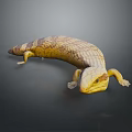 Realistic Yellow and Brown Patterned Lizard with Curved Body and Smooth Skin