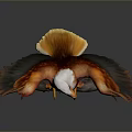 Flying Animal Eagle Spreading Wings Perched On Branch Red Brown Feathers White Head Yellow Talons
