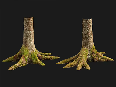 Natural Stone Wood Tree Trunks With Moss Covered Roots And Detailed Texture 3d model
