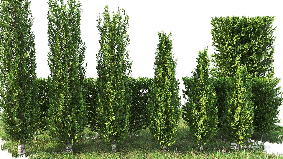 Lush Green Shrubs in Garden Landscape with Tall and Low Varieties Neatly Arranged 3d model 