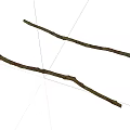 Two Natural Stone Wood Branches With Rough Surface And Dry Texture