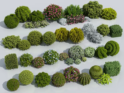Various Types Of Garden Shrubs With Different Shapes And Colorful Blooms 3d model