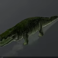 Realistic Green Crocodile 3D Model With Detailed Skin Texture And Open Mouth