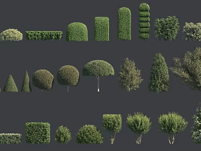 Various Shaped Pruned Shrubs for Garden Landscape Design and Outdoor Decoration 3d model