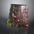 Lush Green Moss and Red Mushrooms Growing on a Natural Tree Stump with Small Plants