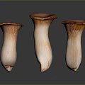 Three Fresh Mushrooms With Brown Caps And Light Stems On Dark Surface
