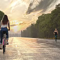 Scenic Municipal Road Lined With Trees During Sunset For Cycling And Jogging
