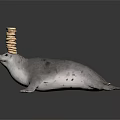 Adorable Gray Seal Balancing Stack of Cookies on Head Against Dark Background