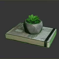 Succulent Plant In Gray Stone Pot Placed On Old Book With Green Leaves