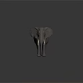 Gray Elephant with Long Ivory Tusks Large Ears Textured Skin Standing on Dark Background