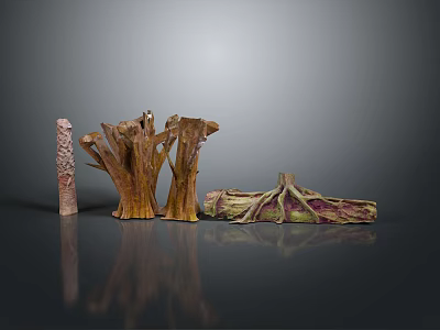 Natural Wooden Stone Decorative Pieces With Tree Root Shapes And Textures 3d model