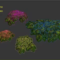 Natural Green Bush Clusters With Lush Foliage And Purple Flowers