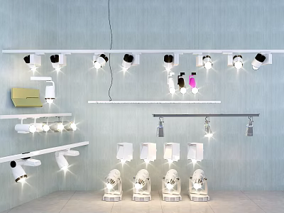 Modern Downlights and Spotlights Showcase With Various Styles And Adjustable Designs In Display Room 3d model