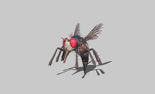 giant fly insect 3d model