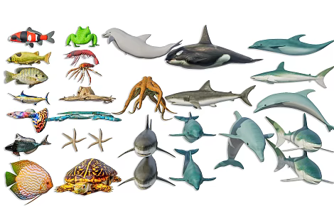 Modern Aquarium Animal Aquatic Animal Marine Animal Fish Marine Fish Submarine Life Fish 3d model