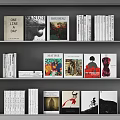 Books and Magazines Displayed on Shelves with Diverse Cover Designs and Art Literary Themes
