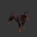 Low Poly Doberman 3D Model In Standing Pose With Tongue Out