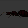 3D Rendered Dark Brown Ant With Long Antennae On Gray Background