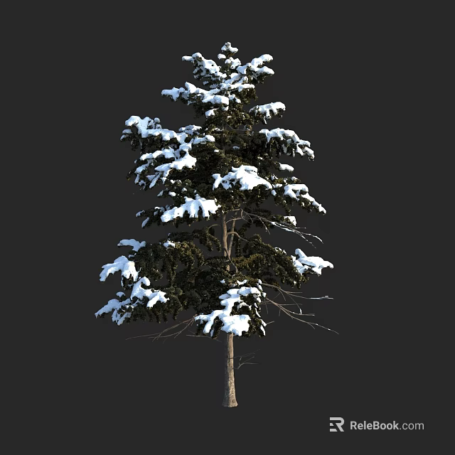 Snow Covered Tree With Green Branches Isolated On Dark Winter Background 3d model 