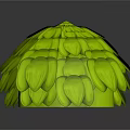 Fresh Green Leaf Like Hemispherical Food With Natural Organic Surface Structure