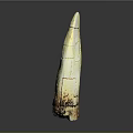 Ivory Shaped Sculpture Carving With Cracked Texture And Light Colored Surface On Dark Background
