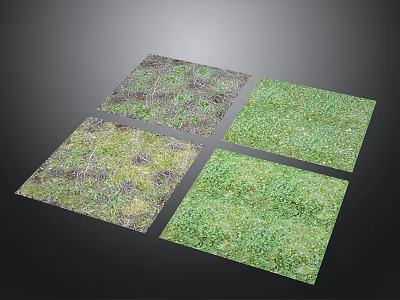 Grass Texture Tiles Featuring Different Green Grass Textures For Scene Design 3d model