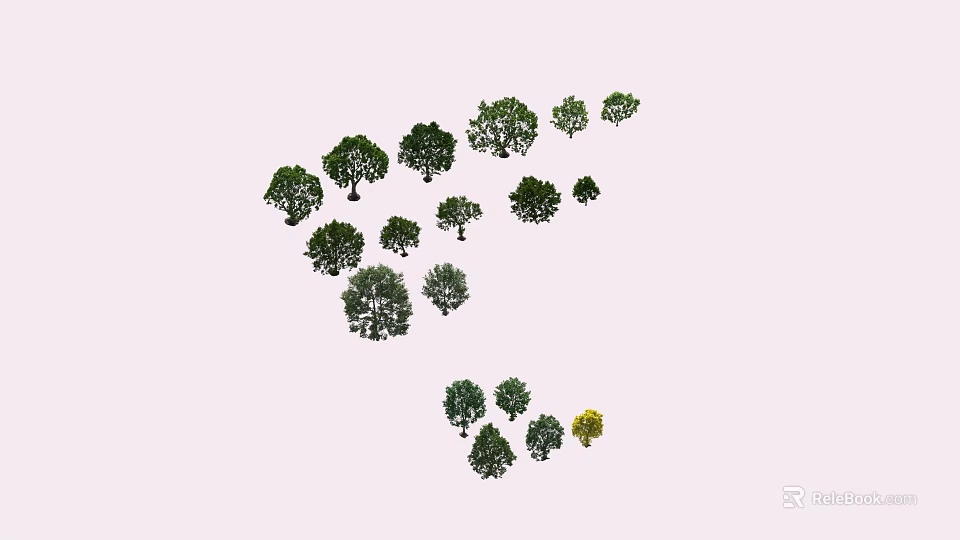 Multiple Arbor Trees of Various Sizes Naturally Growing on Light Colored Background 3d model 
